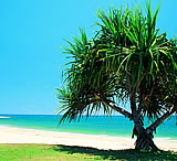 Sunshine Coast Beaches